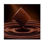 Lindt Excellence Roasted Hazael Nut Intense Dark Chocolate Imported